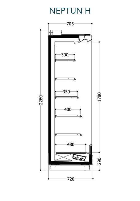Neptun H