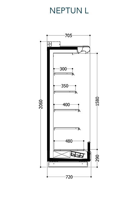 Neptun L